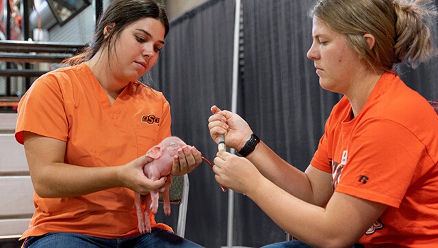 Agricultural Veterinarians