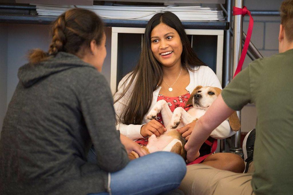 Veterinary Offices