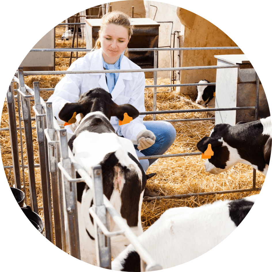 What type of education do I need to become a veterinarian?