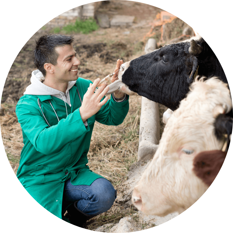 Am I too young to start training to become a veterinarian?