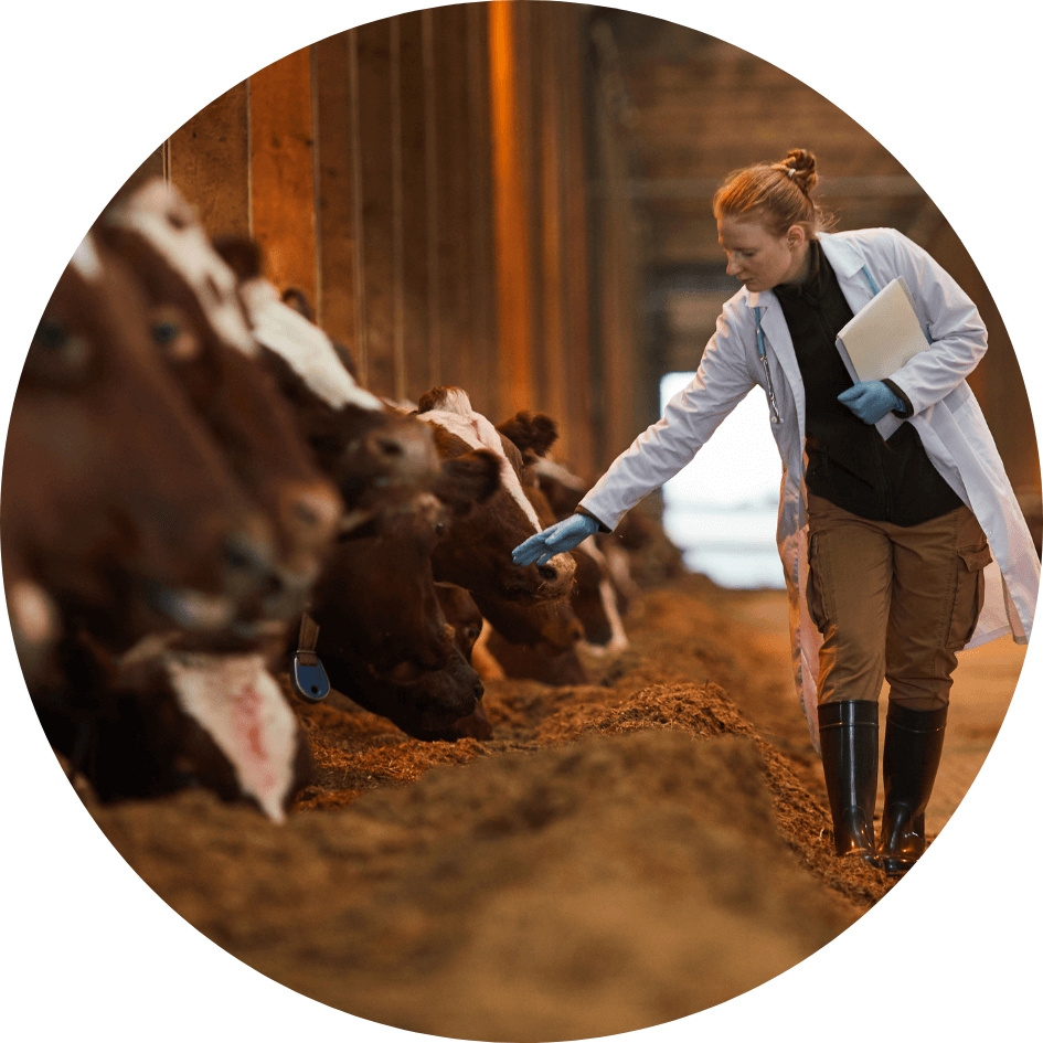 What type of education do I need to become a veterinarian?